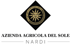 Azienda Agricola del Sole Nardi Agriturismo La Cantina Corchiano Vino Grotta Baiocco Olio Extravergine Nocciole Tuscia Viterbo